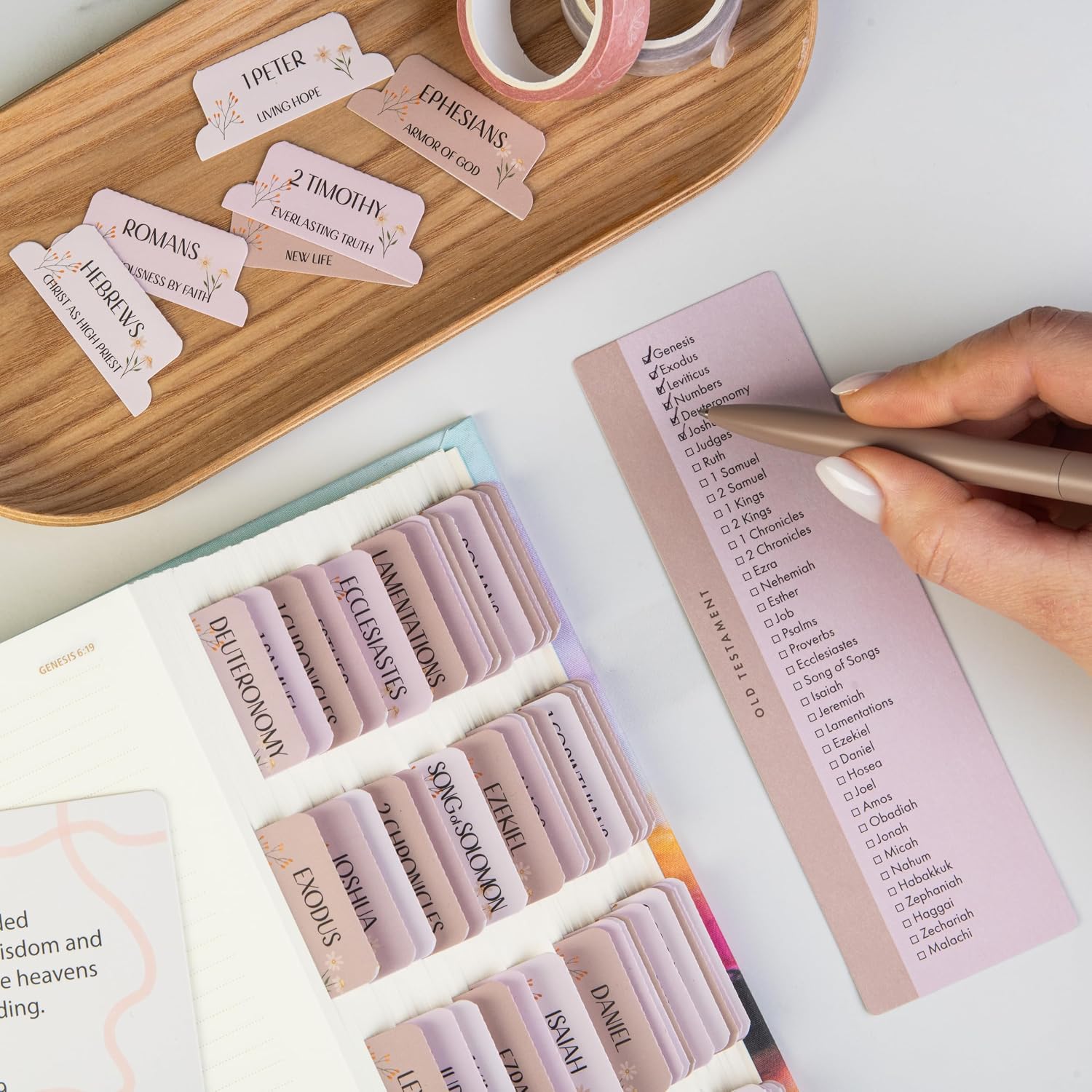 DiverseBee Laminated Bible Tabs with Book Summaries (Canon Theme) image 3
