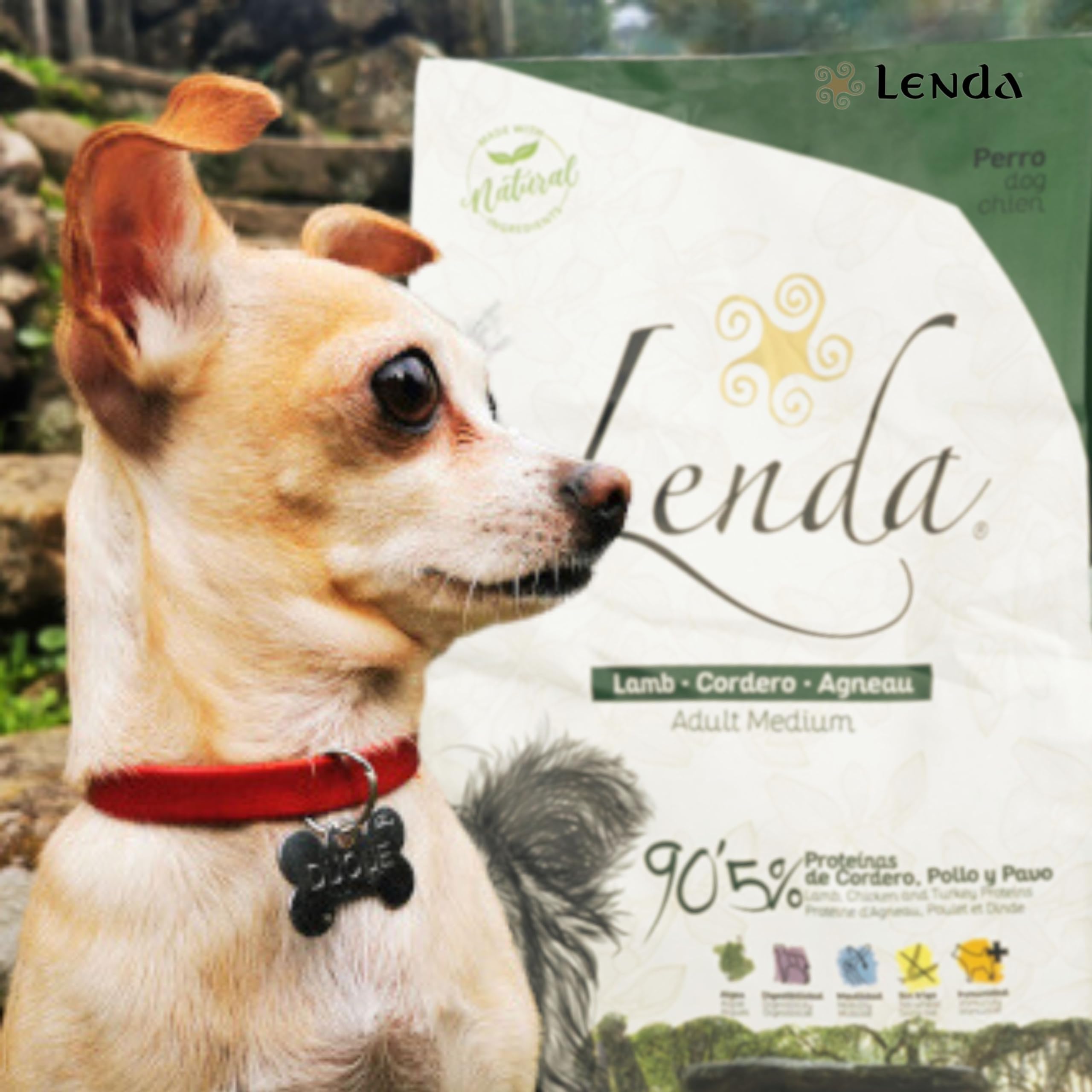 Lenda Lamb 12 kg - Crocchette per Cani Adulti con Attività Normale - Ricche di Agnello e Arricchite con Olio di Salmone - Alimento Gustoso e Nutriente per Cani dal Palato Esigente
