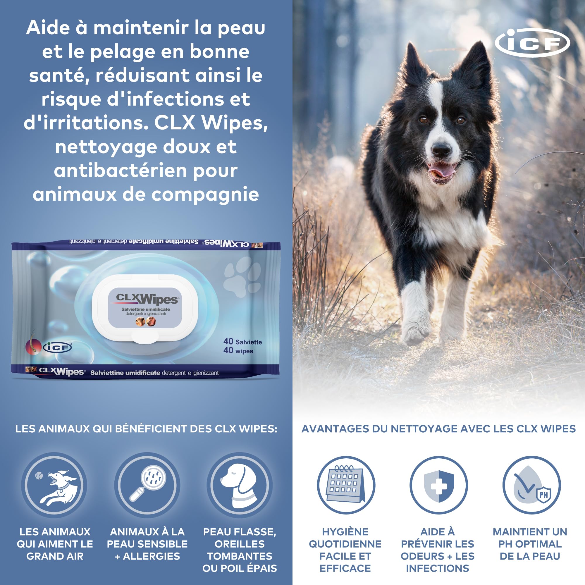 ICF | CLX Lingette Chien | Lingettes Nettoyantes, Assainissantes et Hydratantes pour Chien et Chat | Nettoyage quotidien des pattes, des plis cutanés, et des espaces interdigités | 40 lingettes