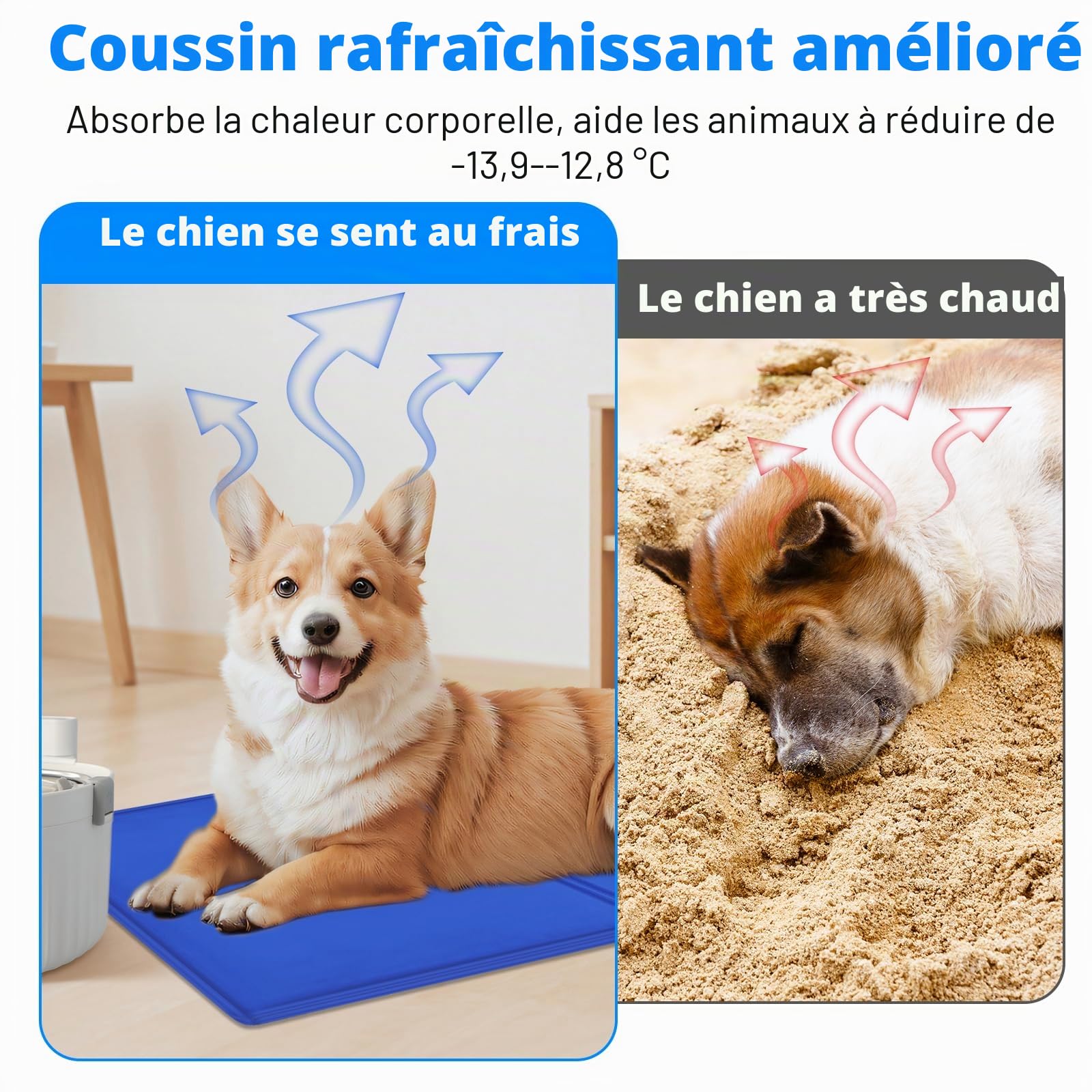 Tapis Rafraichissant Chien 65 x 50cm, Auto-Refroidissant Tapis Refroidissement Chien, Carpet Refrigerant Animaux en Gel Non Toxique pour Chiens, Cooling Mat for Dogs and Cats