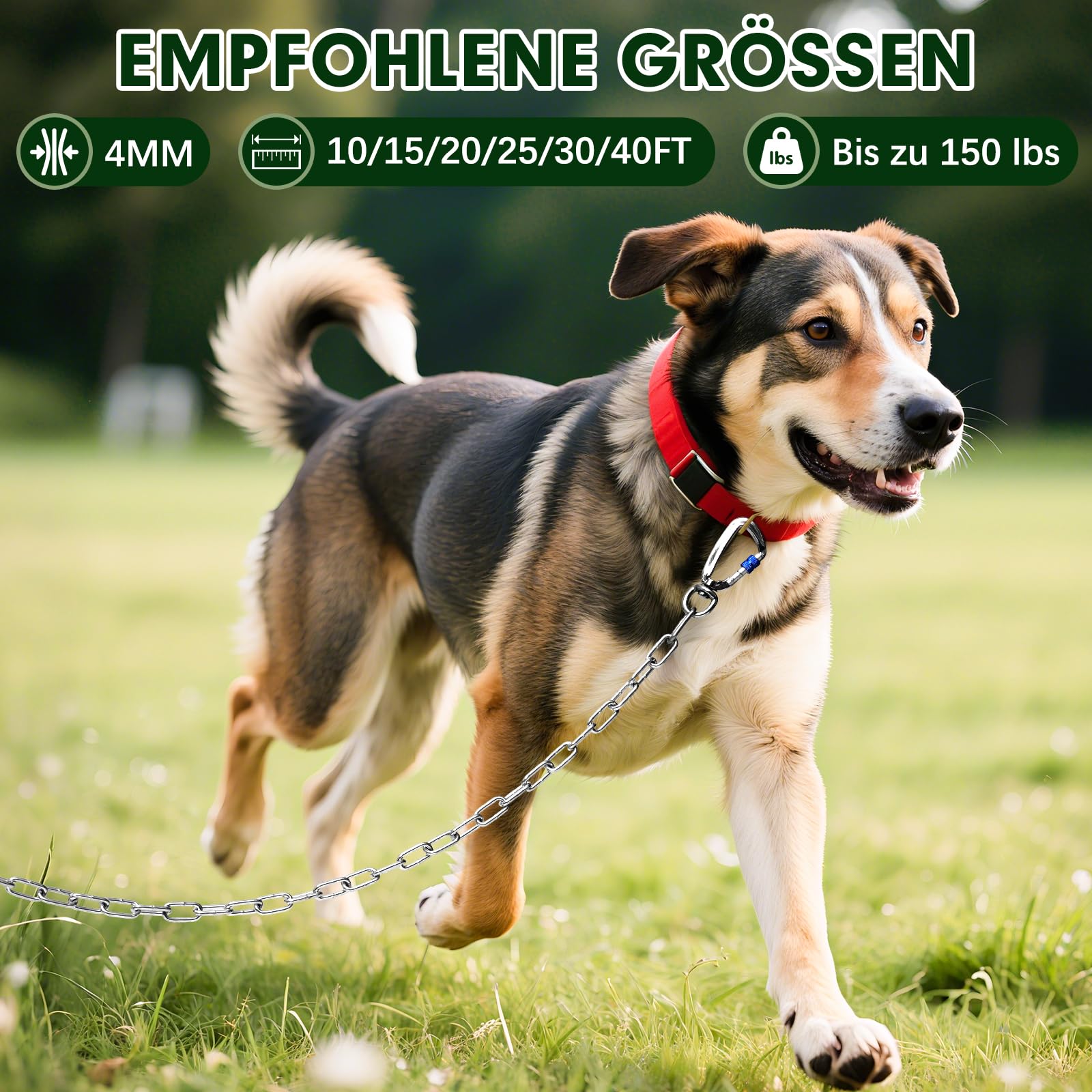 Schwerlast 40FT Metall-Hundekettenleine, Kaussicher, Rostfest, Mit Drehbarem Haken, Outdoor Hundebindekabel für Garten, Camping & Training, Für Mittel- bis Großhunde bis 150lbs