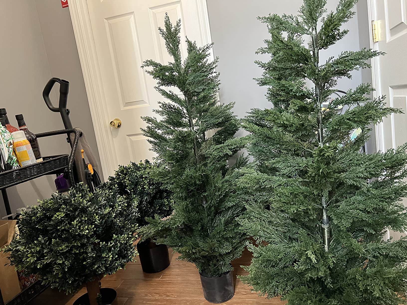 16/mo Finance Silk Tree Warehouse Company Inc Two 2 Foot Outdoor