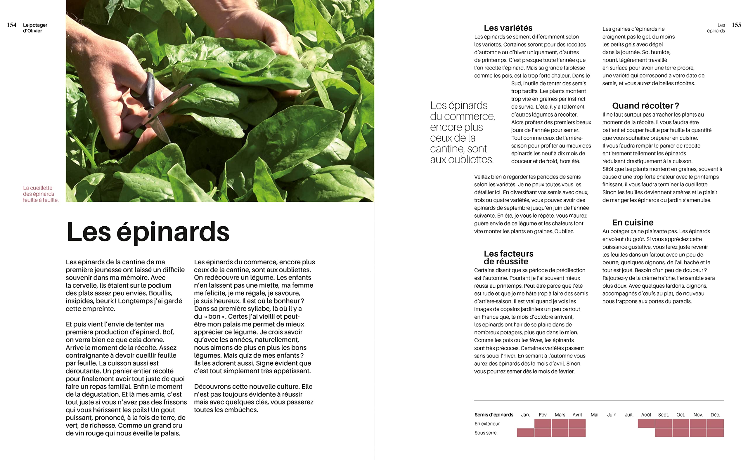 Le potager d'Olivier: Nourrir sa famille, nourrir son esprit