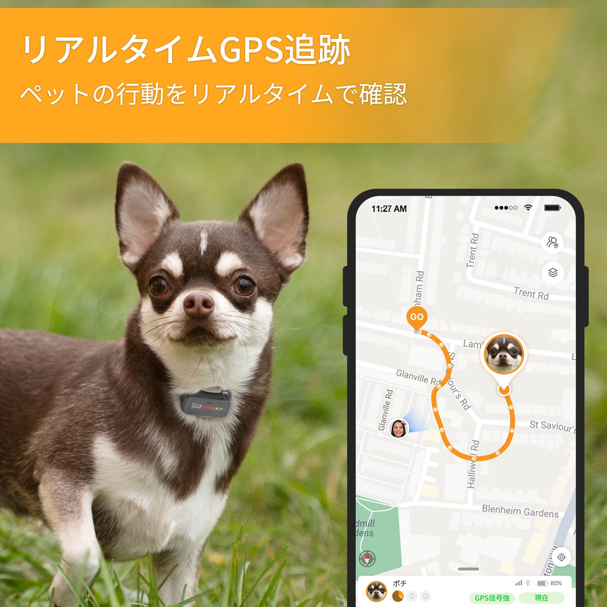Amazon.co.jp: Pawfit Lite 4G GPS犬用トラッカー リアルタイム位置