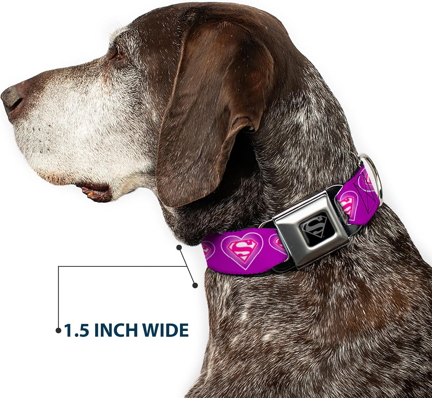 Buckle-Down Seatbelt Buckle Dog Collar - Superman Logo in Heart Purple/White/Pink - 1" Wide - Fits 11-17" Neck - Medium