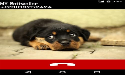 Rottweiler Fake Call Prank ( Funny Pet Calling Prank ) - Gag fake Prank Call from Rottweilers Dogs -