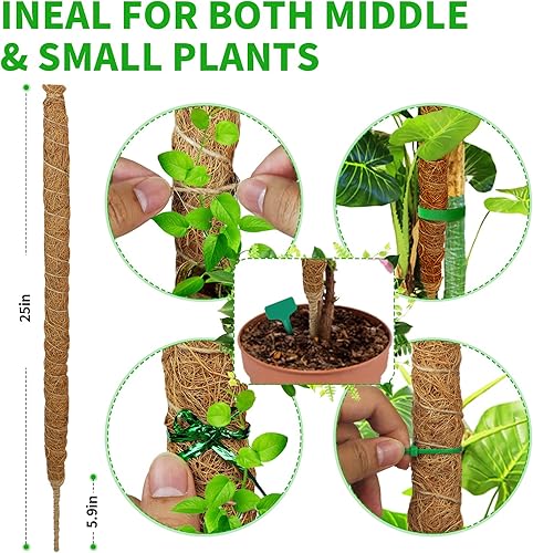 Miniatura 3 de Poste de musgo, estacas flexibles de soporte para plantas trepadoras de 25 pulgadas para plantas Monstera, soporte de plantas para plantas de
