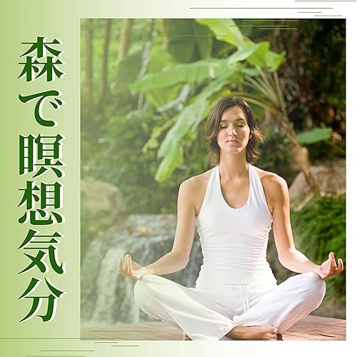 森で瞑想気分 爽やかな小鳥のさえずり ヨガ瞑想に最適な自然音 De 森の朝 Sur Amazon Music Amazon Fr