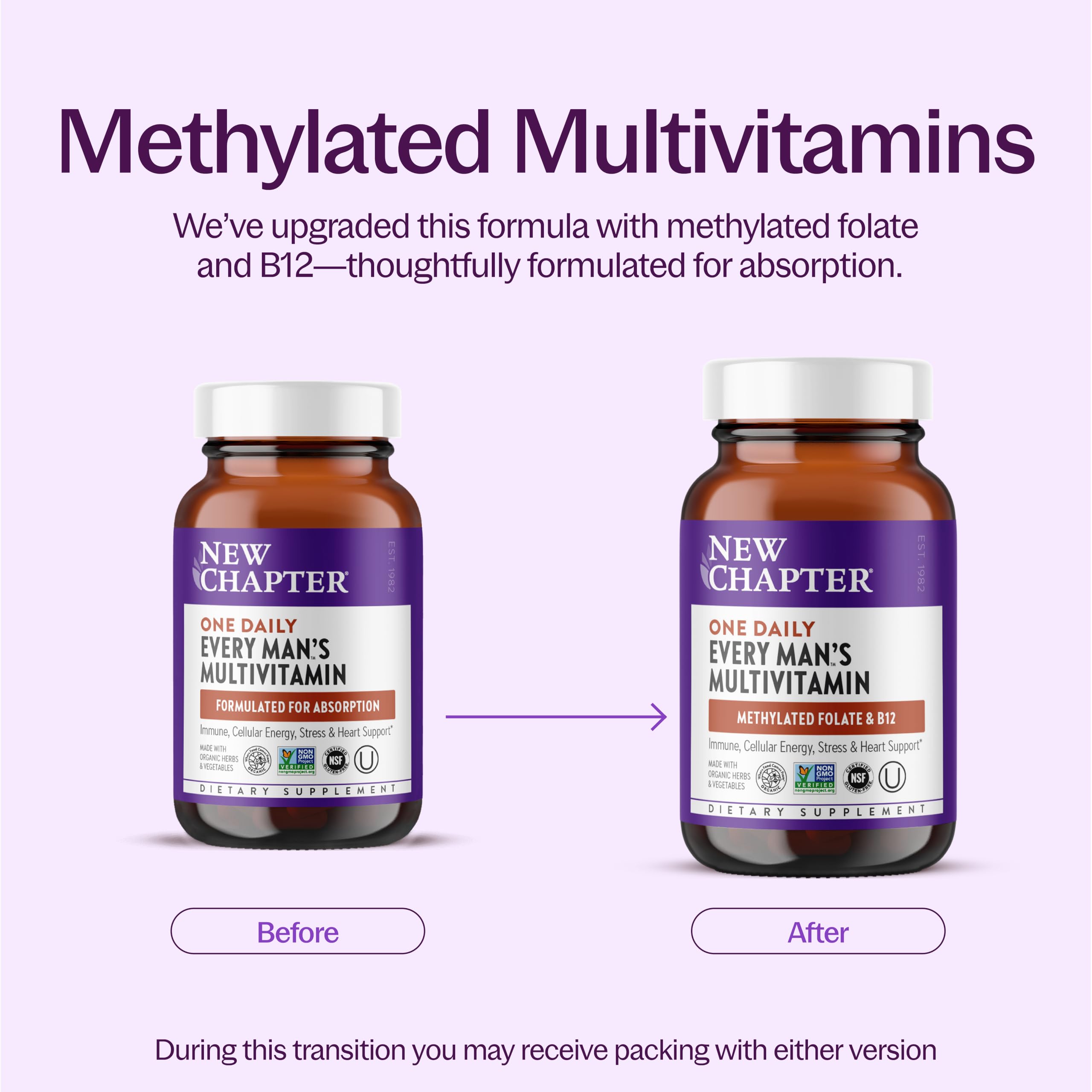 New Chapter Men's One Daily Multivitamin 18+, 48 Tablets — Amazon image 3