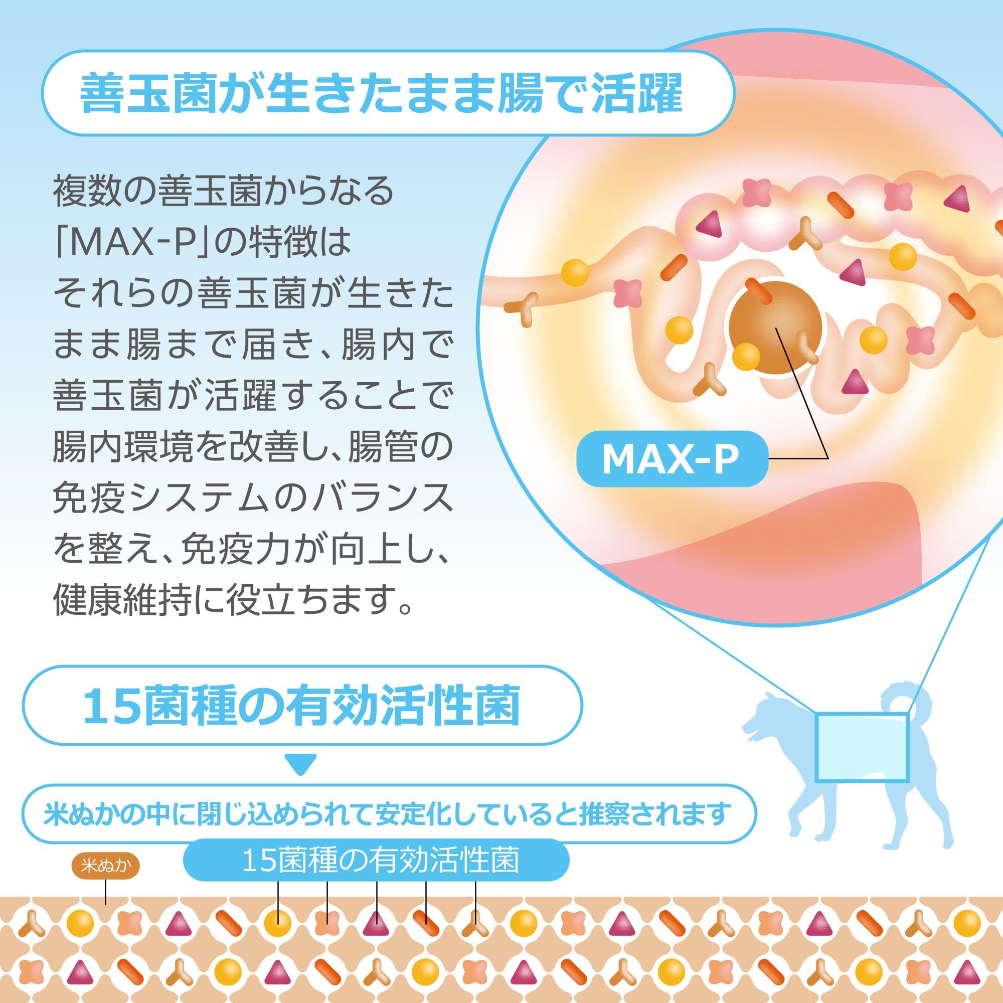 Amazon | MAX-PROBIO ペット用整腸食品 MAX-P 100g 腸内環境改善 免疫