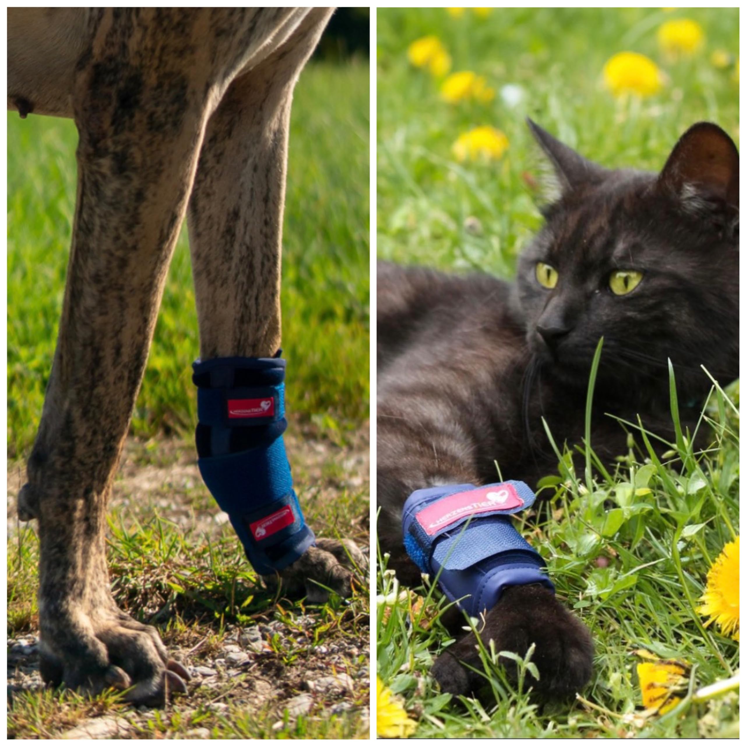 Karpalgelenkbandage Schaumstoff hoch Gr. XL für Hunde & Katzen mit Schienen zur Stabilisierung bei Durchtrittigkeit & Hilfe bei akuten Verletzungen am Karpalgelenk
