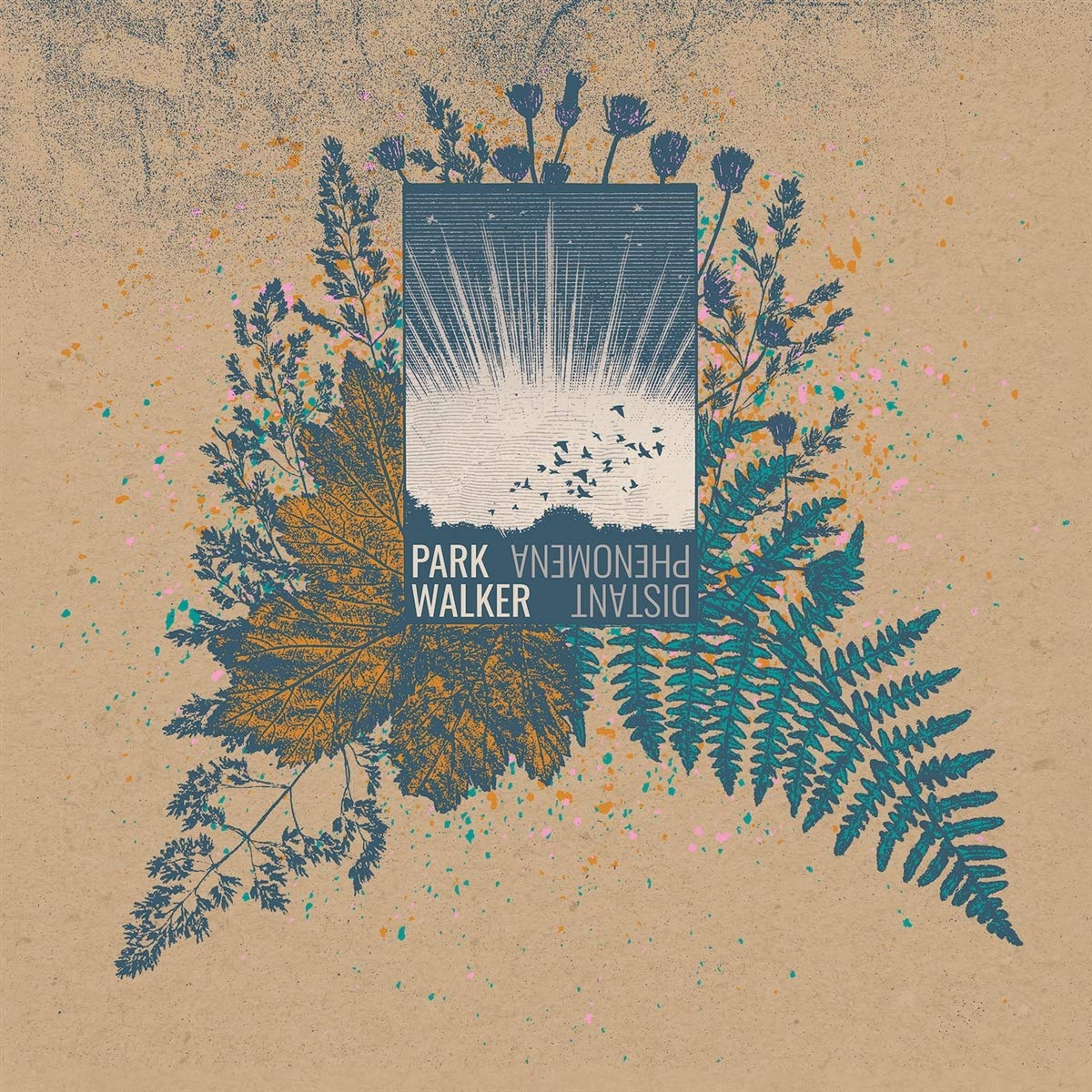 Distant Phenomena [Vinyl LP] [VINYL]