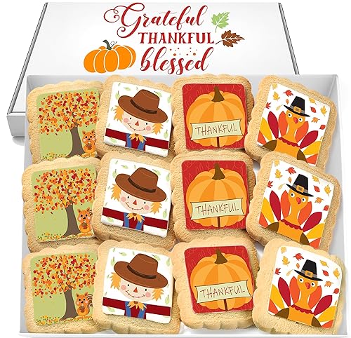 Paquete de 12 galletas de Acción de Gracias decoradas Galletas de azúcar envueltas individualmente Cesta de regalo Calabaza Pavo Espantapájaros