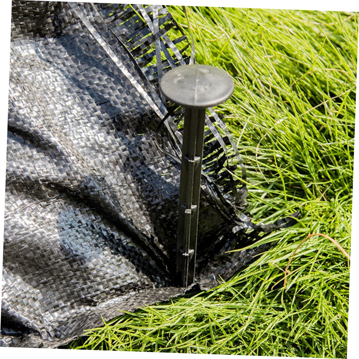 POPETPOP Lot de 100 Piquets De Jardin en Plastique Noir pour Pelouse Bordures De Jardin Piquets De Plantes pour Le Jardinage