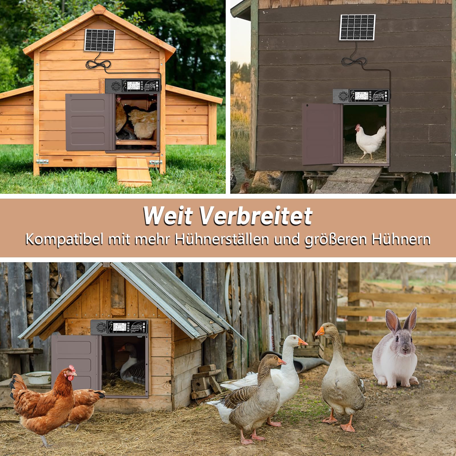Große Größe Automatische Hühnerklappe Solar, Aluminum Hühnerklappe Automatisch Seitliche Öffnung, Elektrische Hühnertür mit 7W Solarpanel, LED Display, Lichtsensor, Timer, Fernbedienung