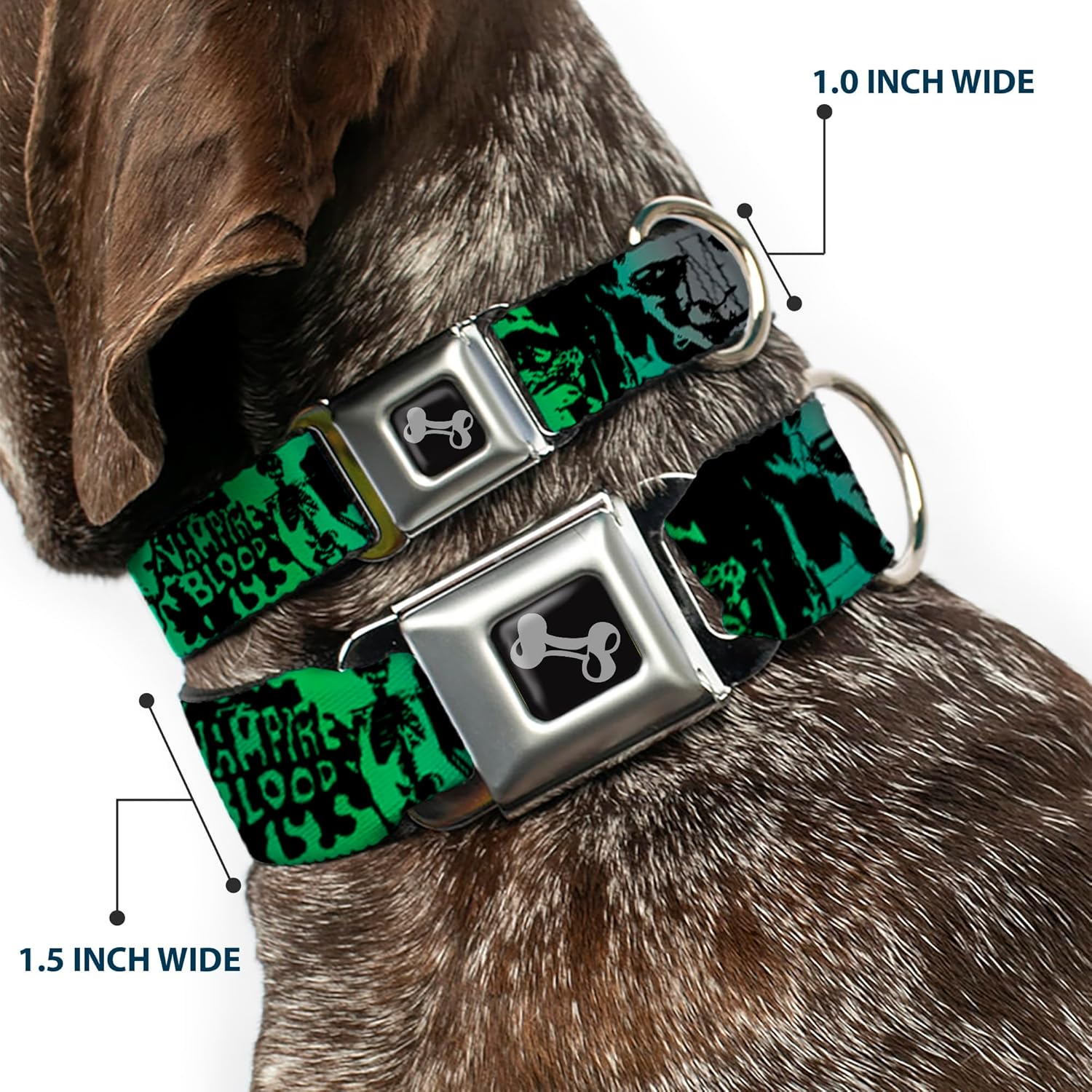 Buckle-Down Seatbelt Buckle Dog Collar - Retro Monster Aqua/Black - 1" Wide - Fits 11-17" Neck - Medium
