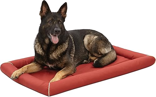 Miniatura 10 de MidWest Homes for Pets Medium QuietTime MAXX - Cama para perros ultra resistente, resistente al agua y olores, borde acolchado, fondo Negro