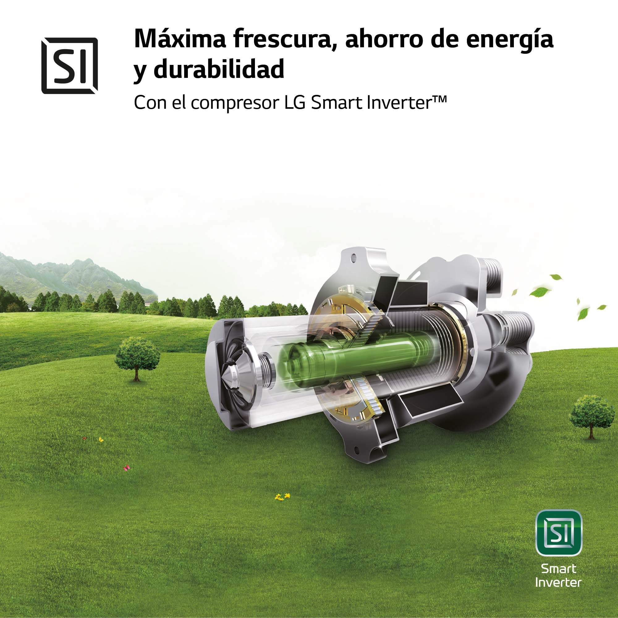 LG GBP61DSXGC - Frigorífico Combi No Frost, Congelador, Compresor Smart Inverter, Color Inox Antihuellas, 186 cm, 341 l
