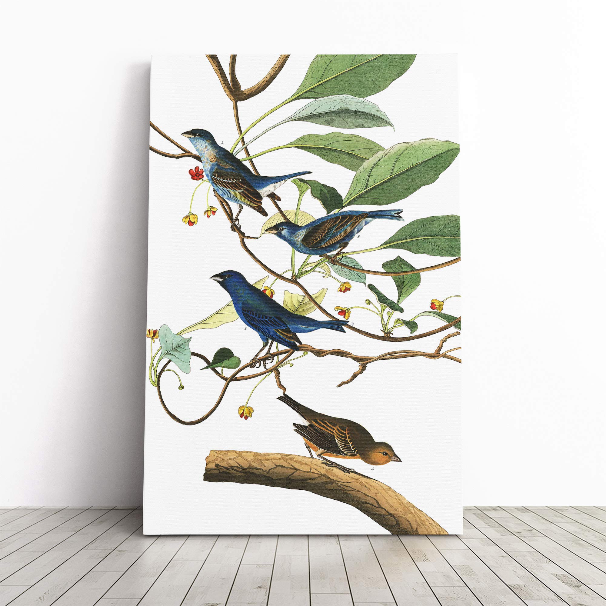 John James Audubon Indigo Bird Canvas Print | Gallery Wrapped 30mm Frame Wall Art | 20x14 inches | Ready to Hang | Modern Animals Picture | Living Room Bedroom Lounge Office