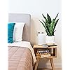 Product Photo 4