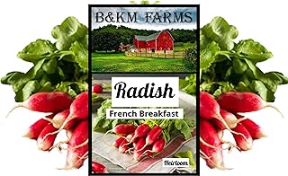 Sponsored Ad - Survival French Breakfast Radish Vegetable Seeds for Planting 3 Grams of Heirloom, Non GMO Garden Variety S...