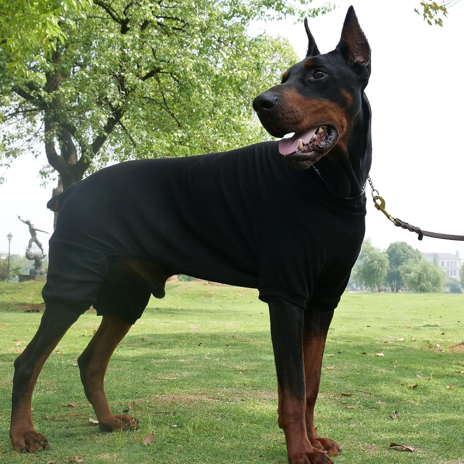 Lovelonglong Ribbed Dog Pajamas Cotton Knitted Dog Jumpsuits 4 Legged All Season Warm Pet Bodysuits for Large Medium Small Dogs Black L