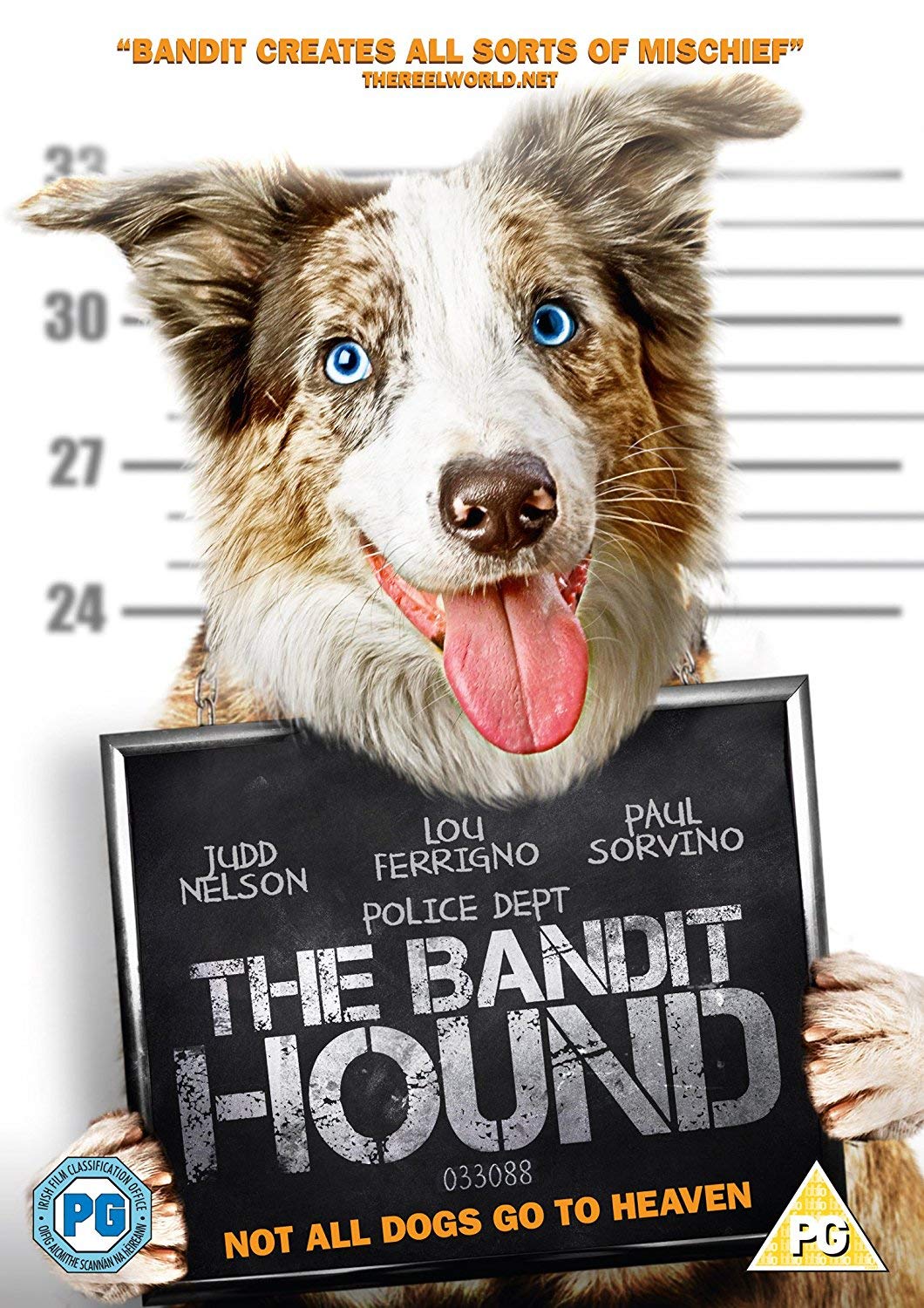 The Bandit Hound [DVD]: Amazon.co.uk: Judd Nelson, Lou Ferringo