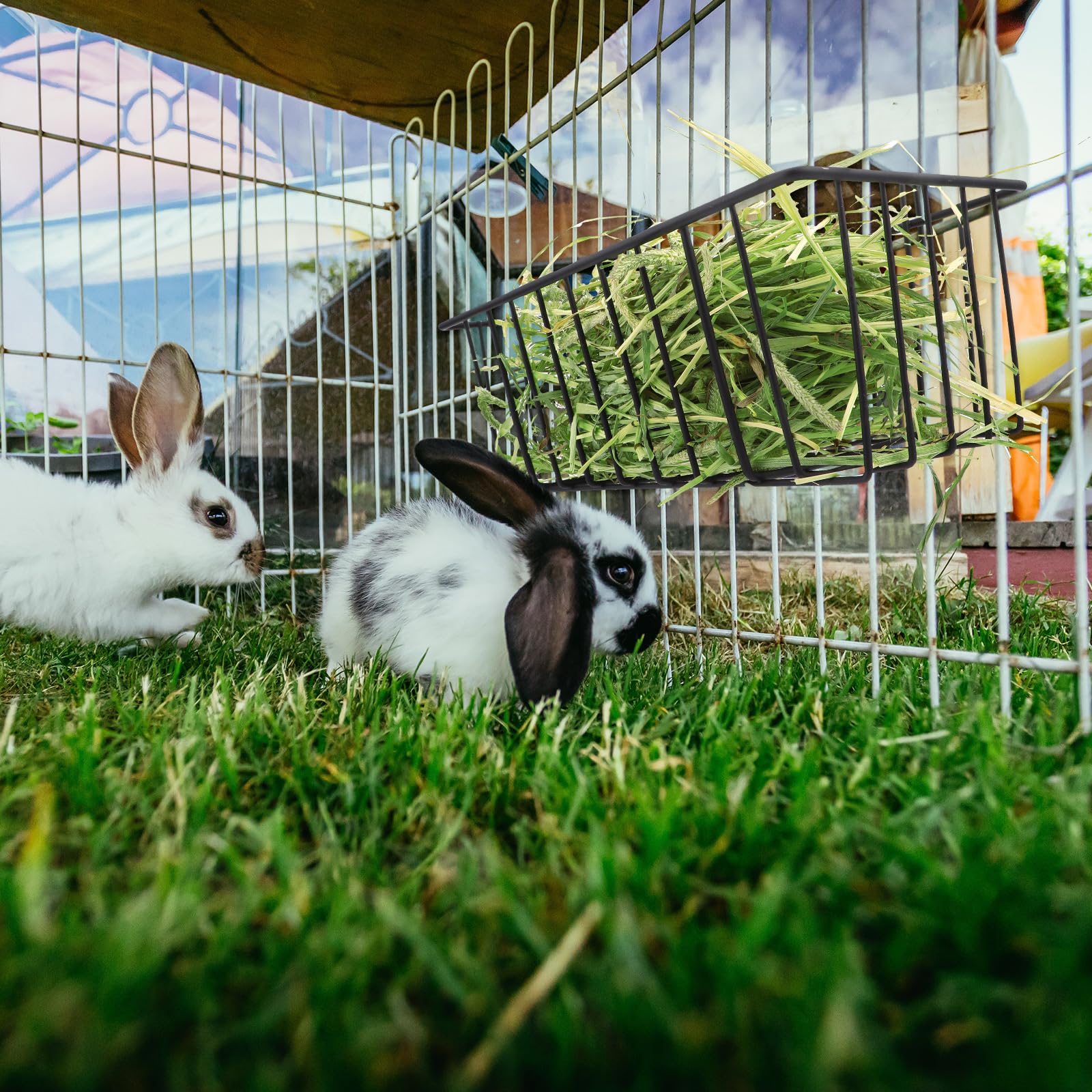 Therwen 4 Pcs Rabbit Hay Feeder Guinea Pig Heavy Duty Metal Frame Hay Rack with Hooks Cage Hanging Holder for Bunny Chinchilla Small Animals Accessories(9.8 x 5.1 x 3.5 Inches) - image 6