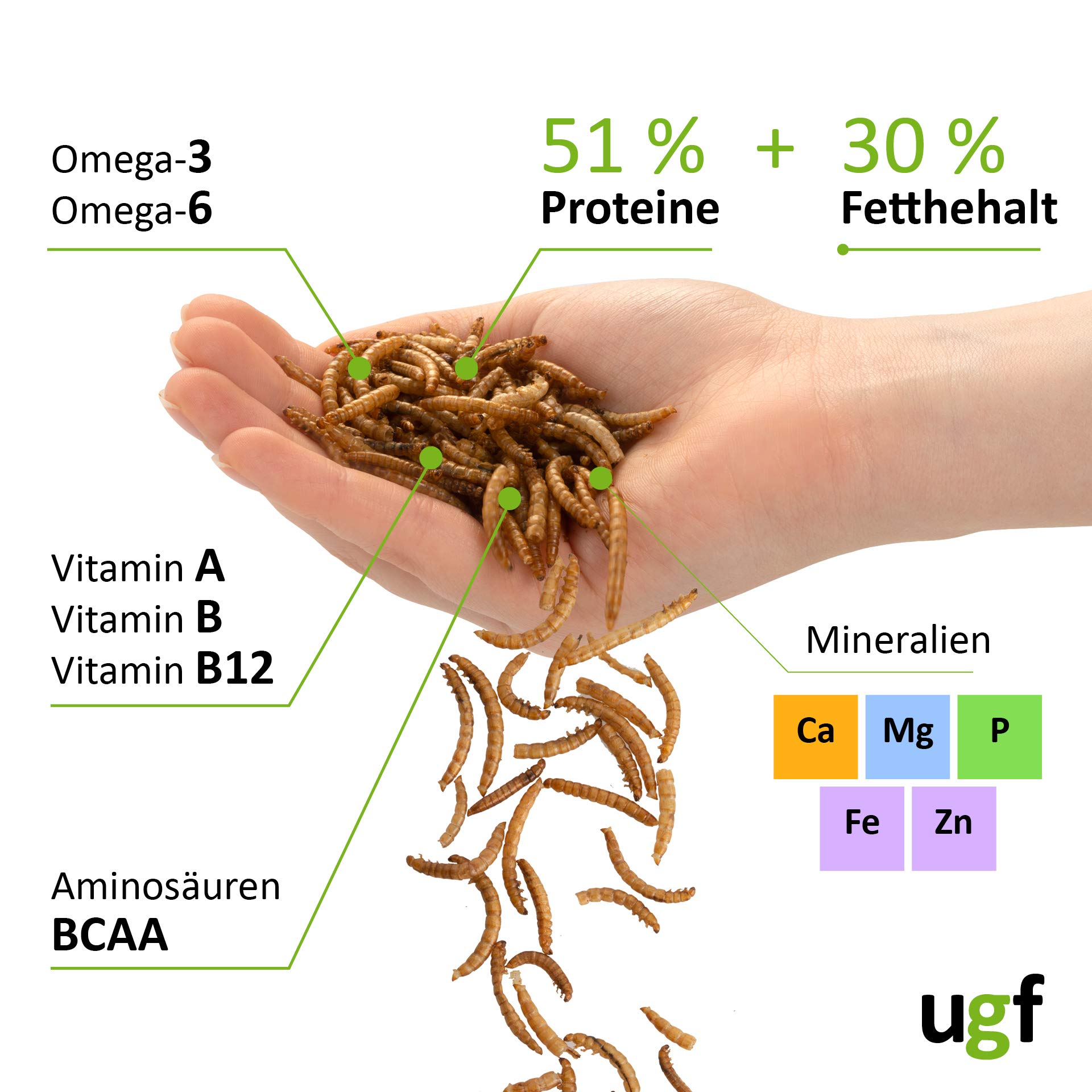 UGF - Gusanos de harina Premium Secos 500 g, Comida para pájaros Silvestres Todo el año, alimento para erizos, Ardillas, hámster — view 6