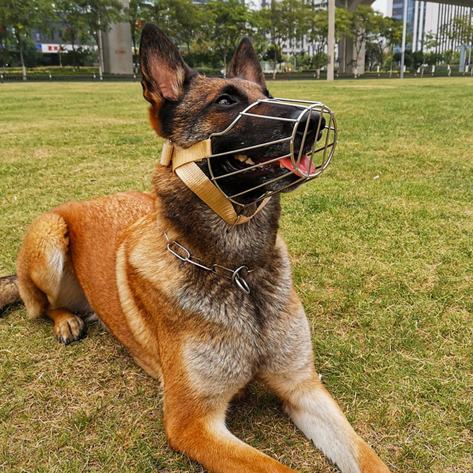Bozal for Perros antimordiscos, bozal de Cesta Alambre, for, Transpirable, Ajustable, bozales Suave(Style 1,L)