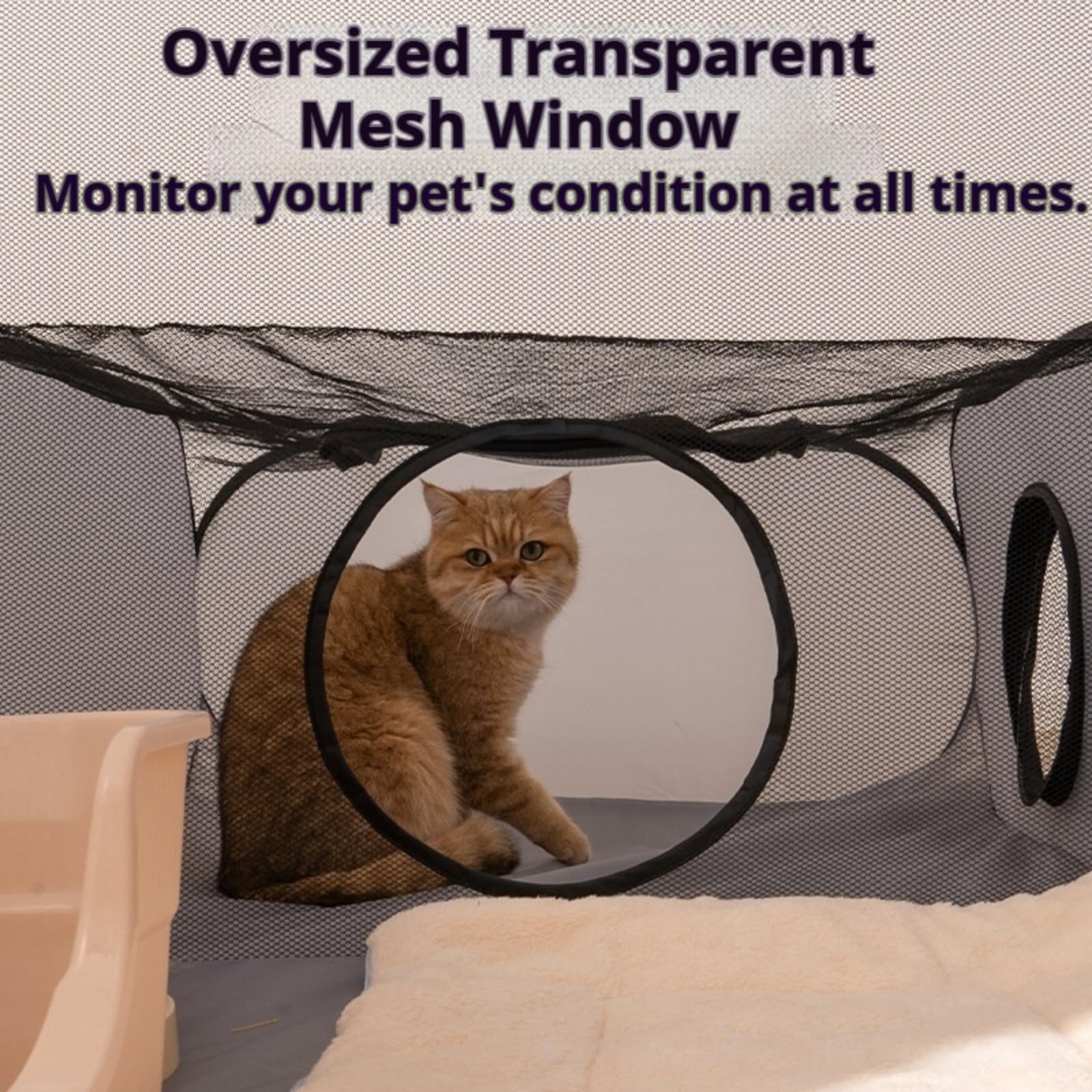 Recinto per gatti all'aperto pieghevole con tunnel, grande parco per gatti portatile con borsa per il trasporto, tenda per gatti in rete traspirante, area giochi sicura per giardino, balcone, casa e