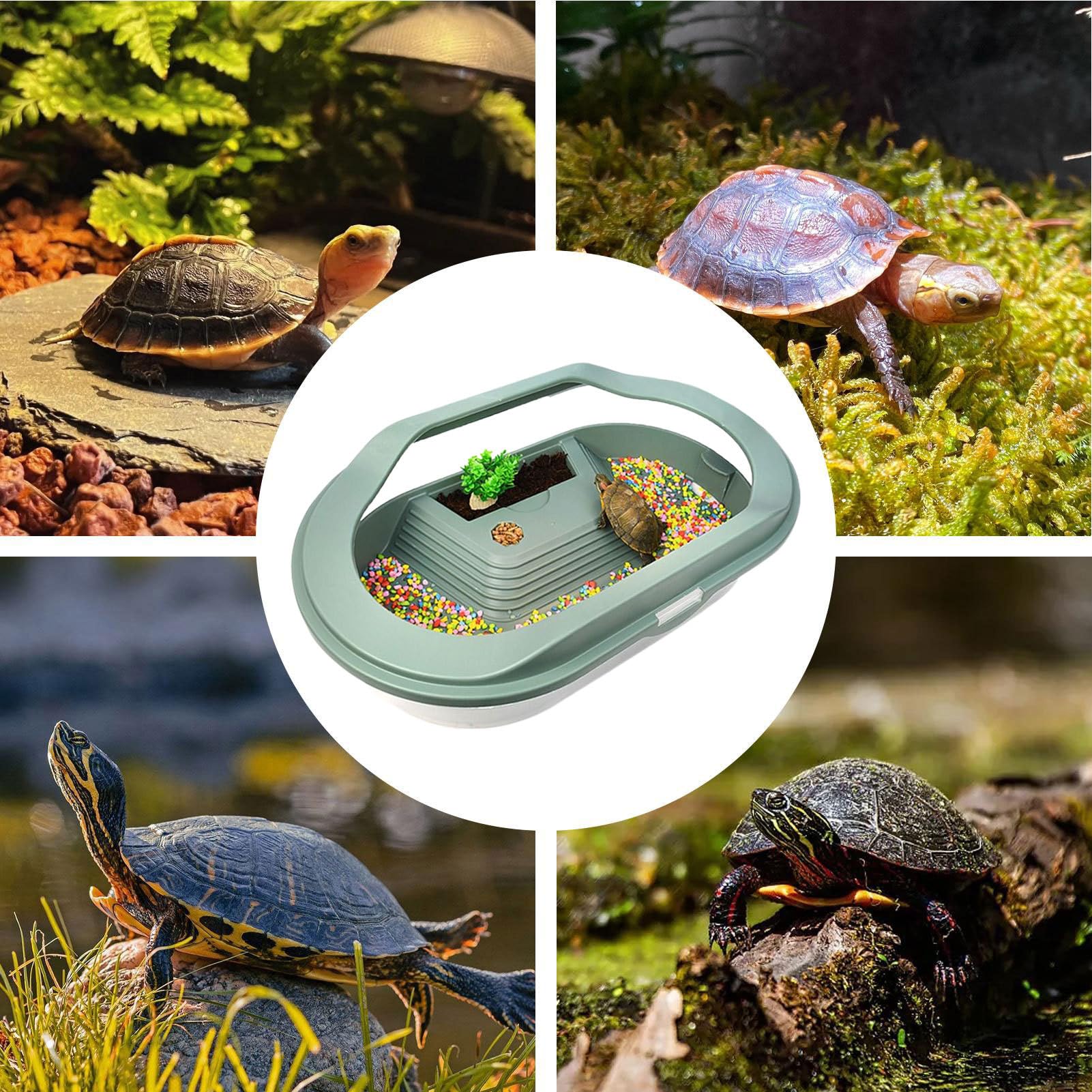 Serbatoio per tartarughe d'acqua, terrario per tartarughe, di drenaggio inferiore, coperchio trasparente, scatola per allevamento habitat per piccoli rettili eremiti, granchi, gechi, piccoli