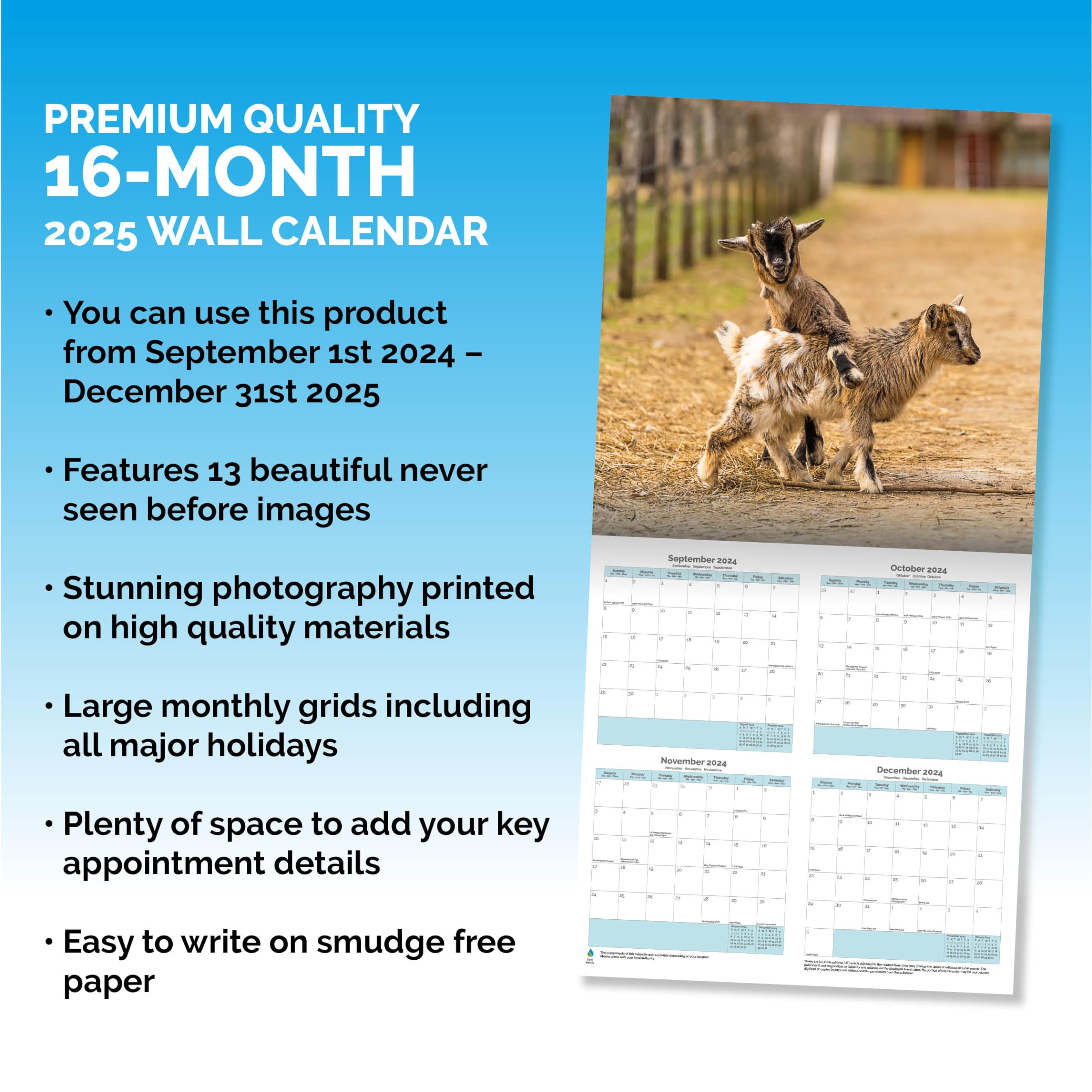 Dayplanner Publishing Baby Goats Calendar 2026, Large Square Wall Calendar With Organisational Stickers, 16 Month - Image 3