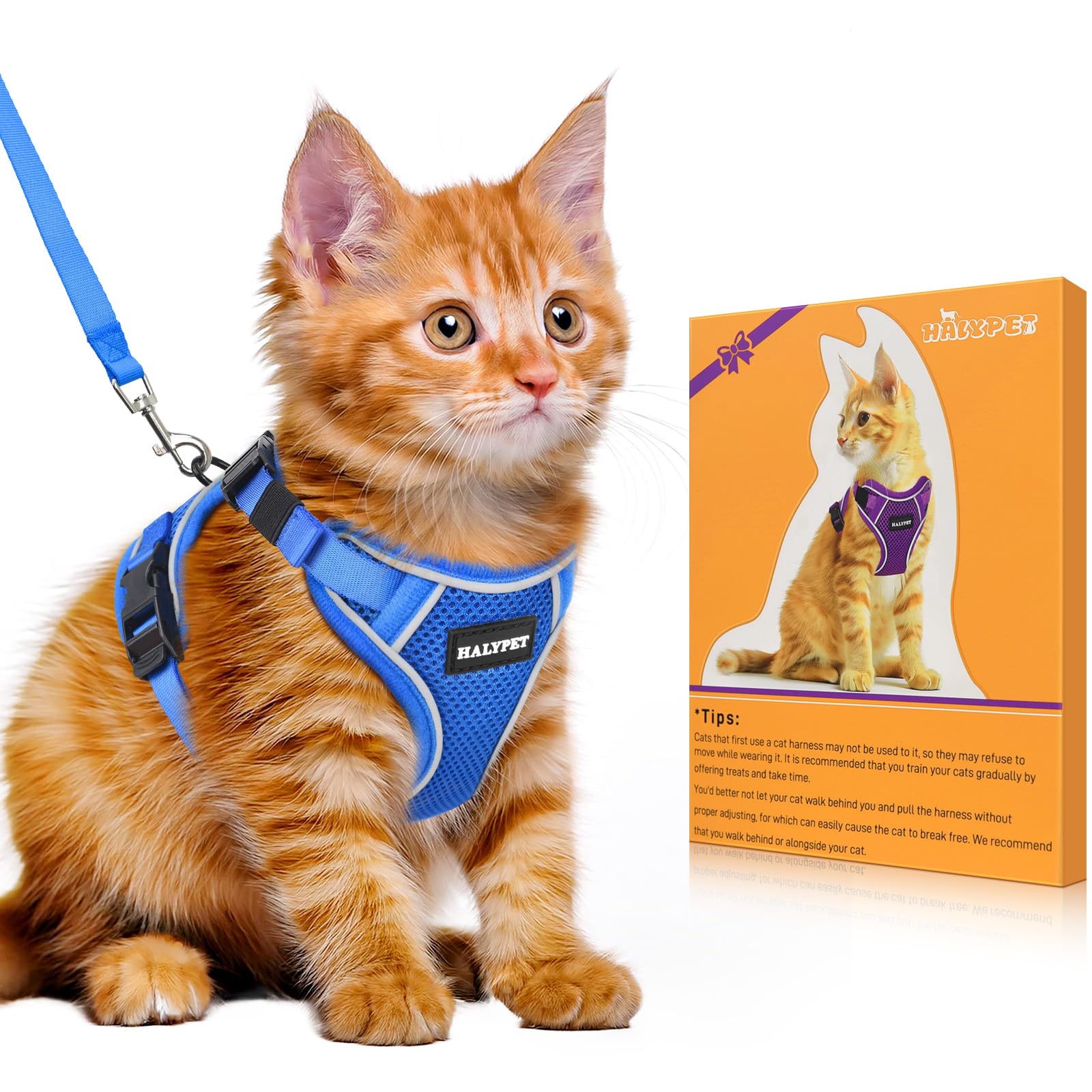 Photo 1 of HALYPET Cat Harness and Leash Set - Escape Proof, Blue