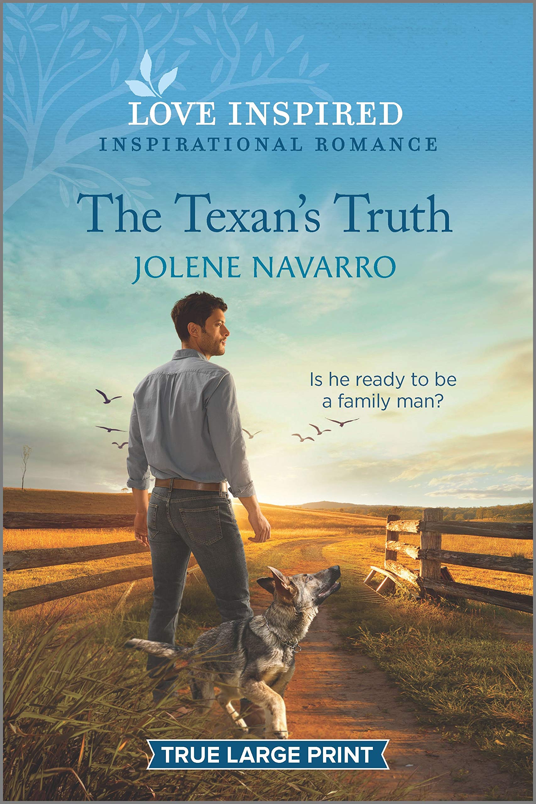 The Texan's Truth (Love Inspired: Cowboys of Diamondback Ranch, 5)