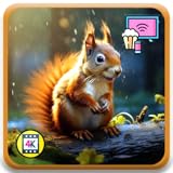 Whisker Watch TV – Birds & Squirrels in 4K with Weather & Clock For Fire TV