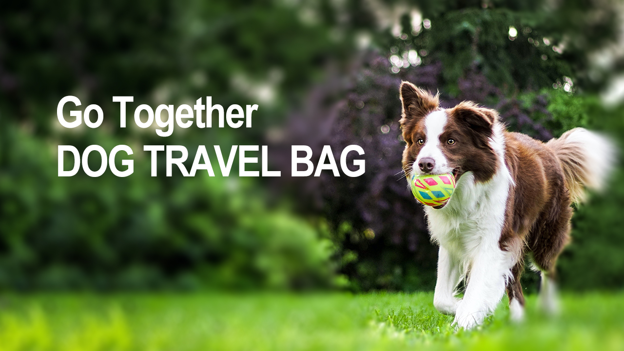 Modoker Dog Travel Bag, Weekend Pet Travel Set for Dog and Cat, Airline Approved Tote Organizer with Multi-Function… - Image 8