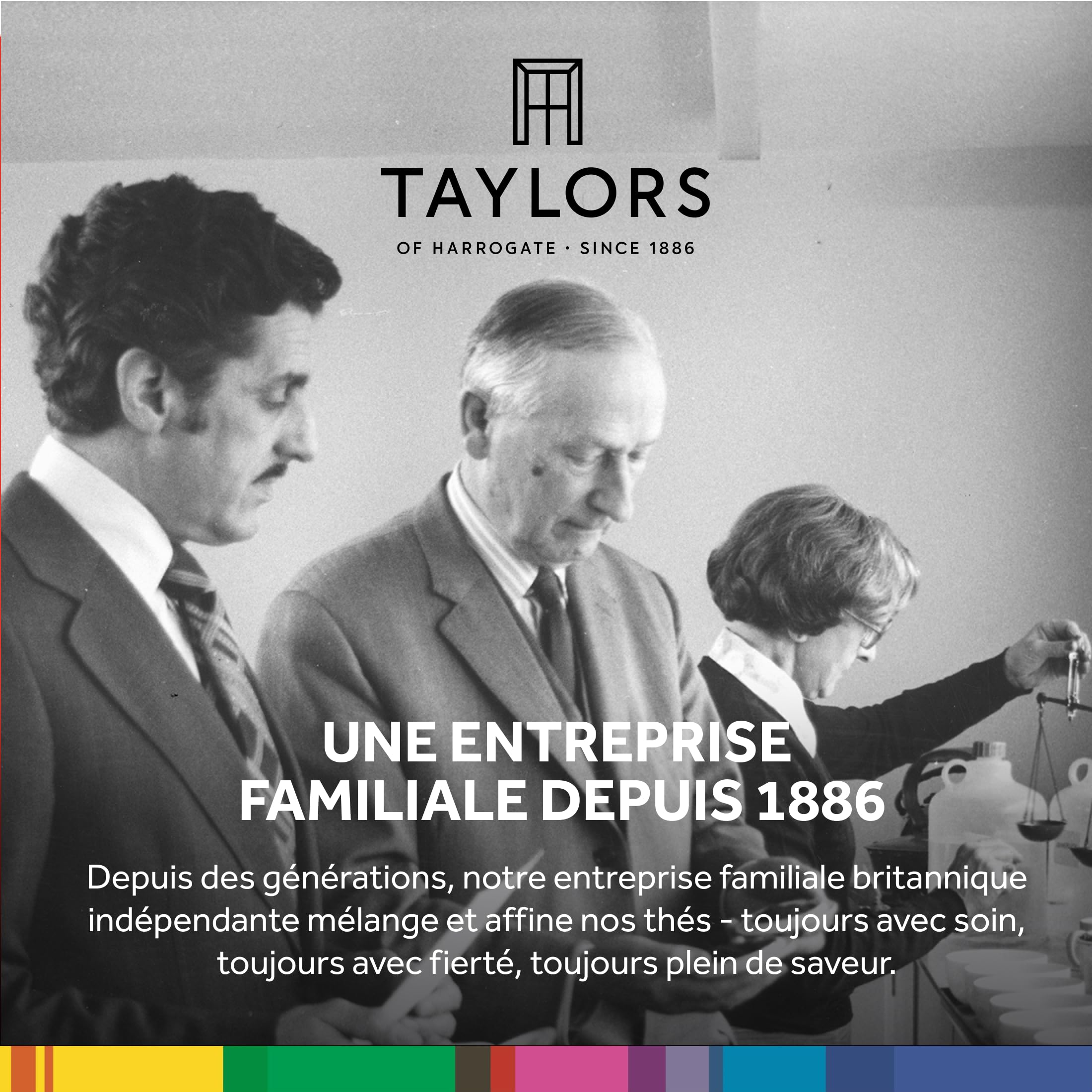 Taylors of Harrogate Thé Vert Pur - Délicat, Doux et Frais Sencha Chinois - 20 Sachets