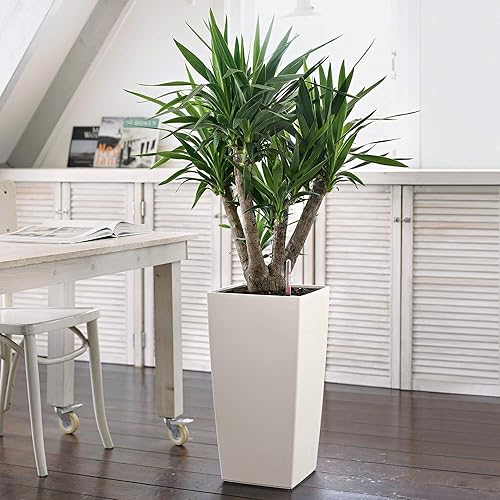 Miniatura 6 de Lechuza Cubico Color maceta de 22 pulgadas de alto, 22", Blanco Matte