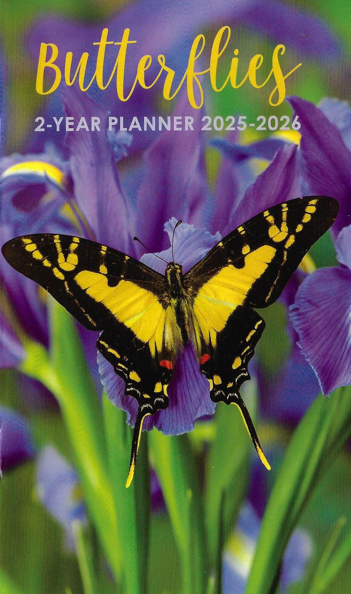 Paper Craft 20252026 Value Pocket Calendar For Planning