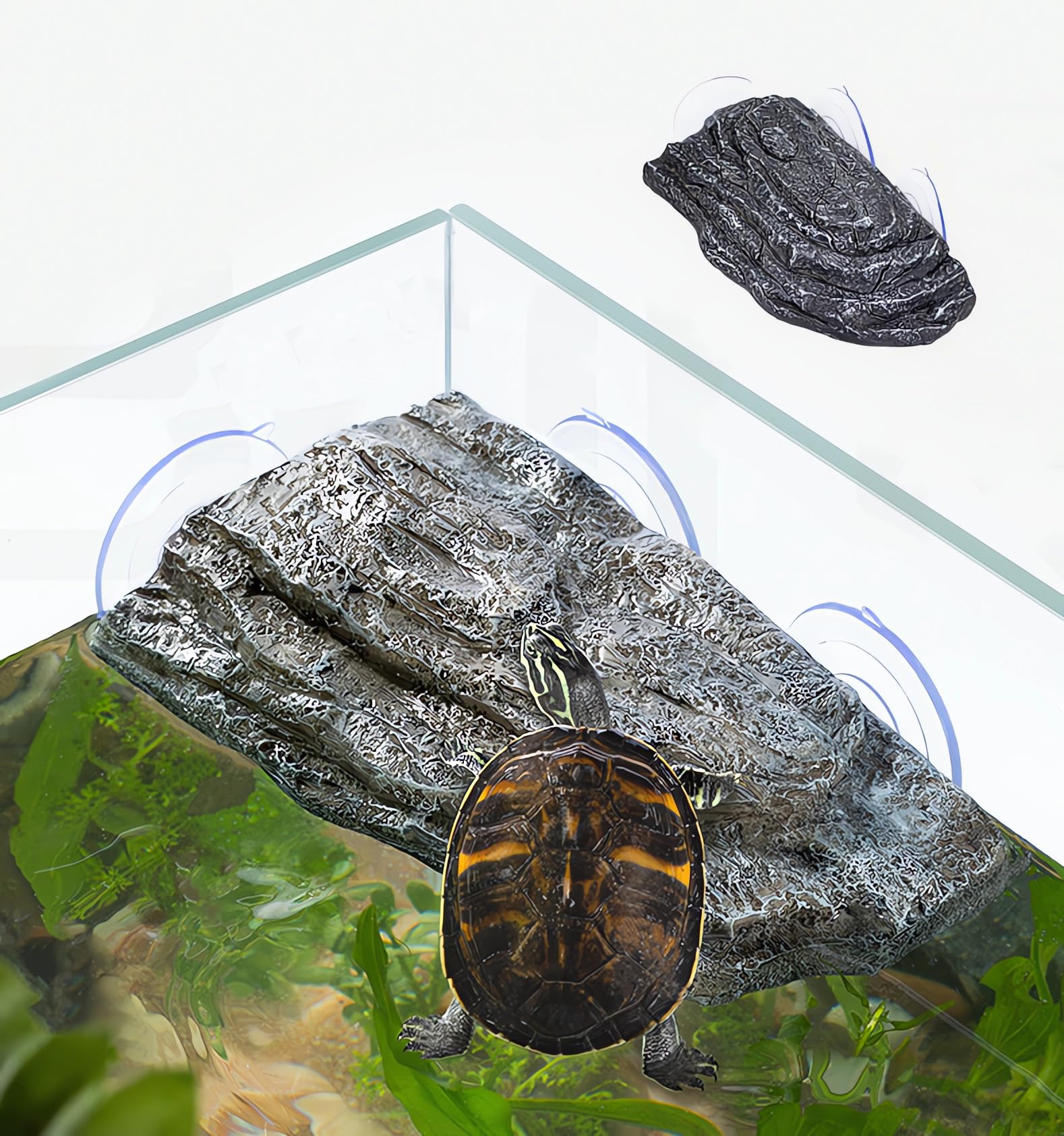 Turtle Basking Platform with Suction Cups, Floating Resting Terrace for Frogs, Terrapins and Tortoises