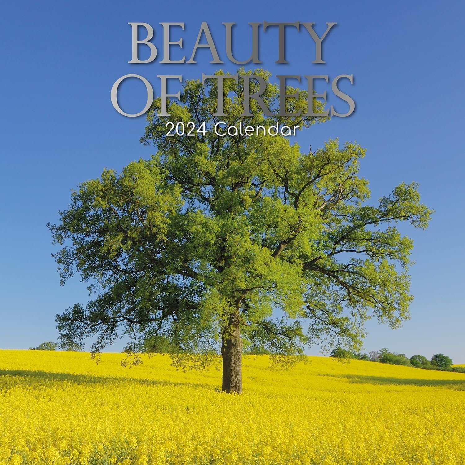 TGSC Beauty of Trees Wall Calendar 2024 16 Months Monthly 2023