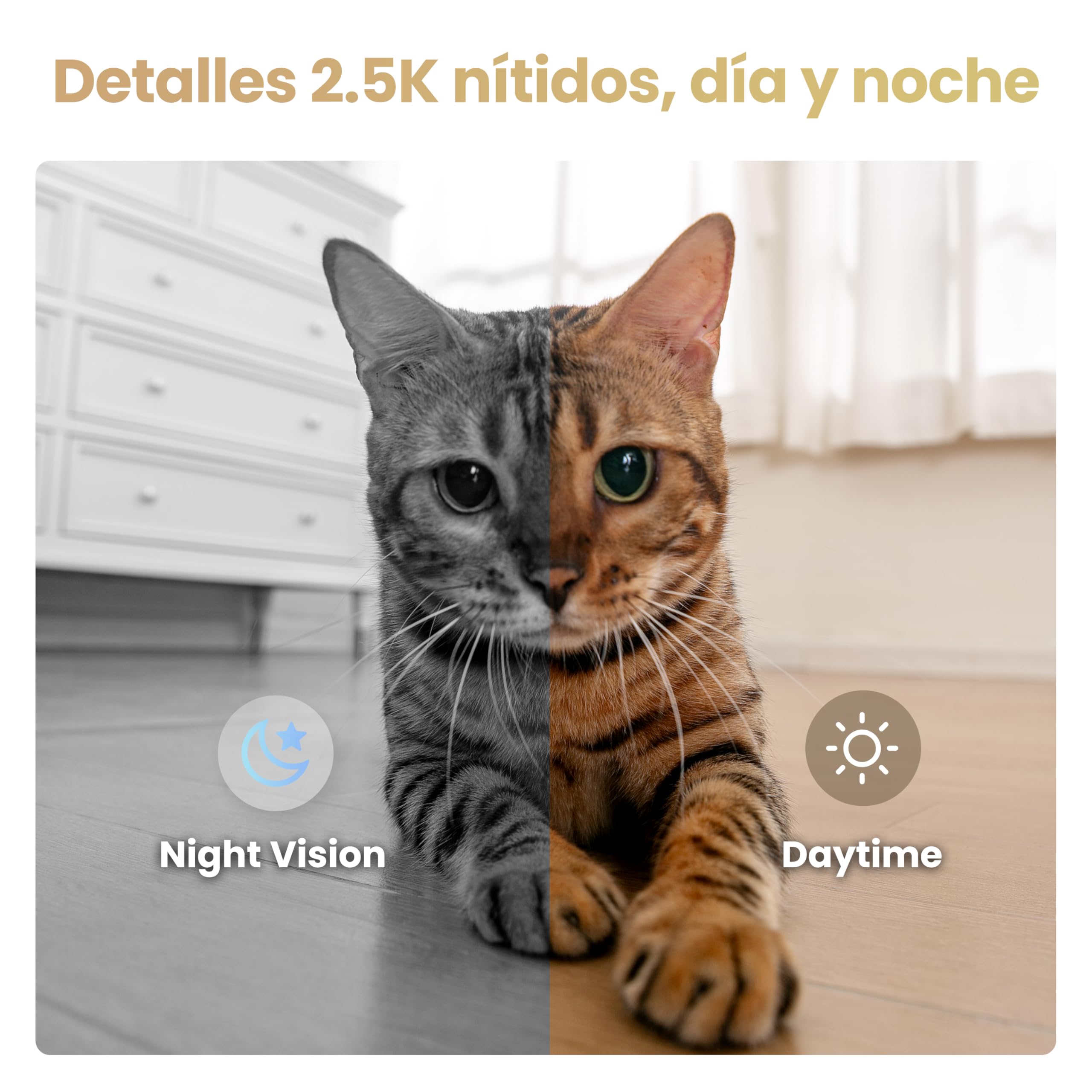 Enabot EBO Air 2S FamilyBot – Robot Cámara Mascotas 2,5K, Batería 9–10H, Seguimiento IA, Patrulla, Vídeo Bidireccional, Recarga Auto, Almacenamiento Local – Gatos, Perros y Familia