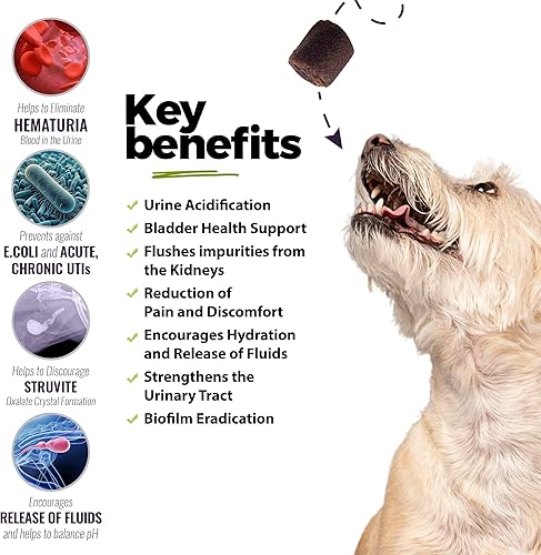 Miniatura 3 de UroMAXX Tratamiento de infección del tracto urinario para perros, soporte para la vejiga y los riñones para perros, potente cuidado de mascotas,