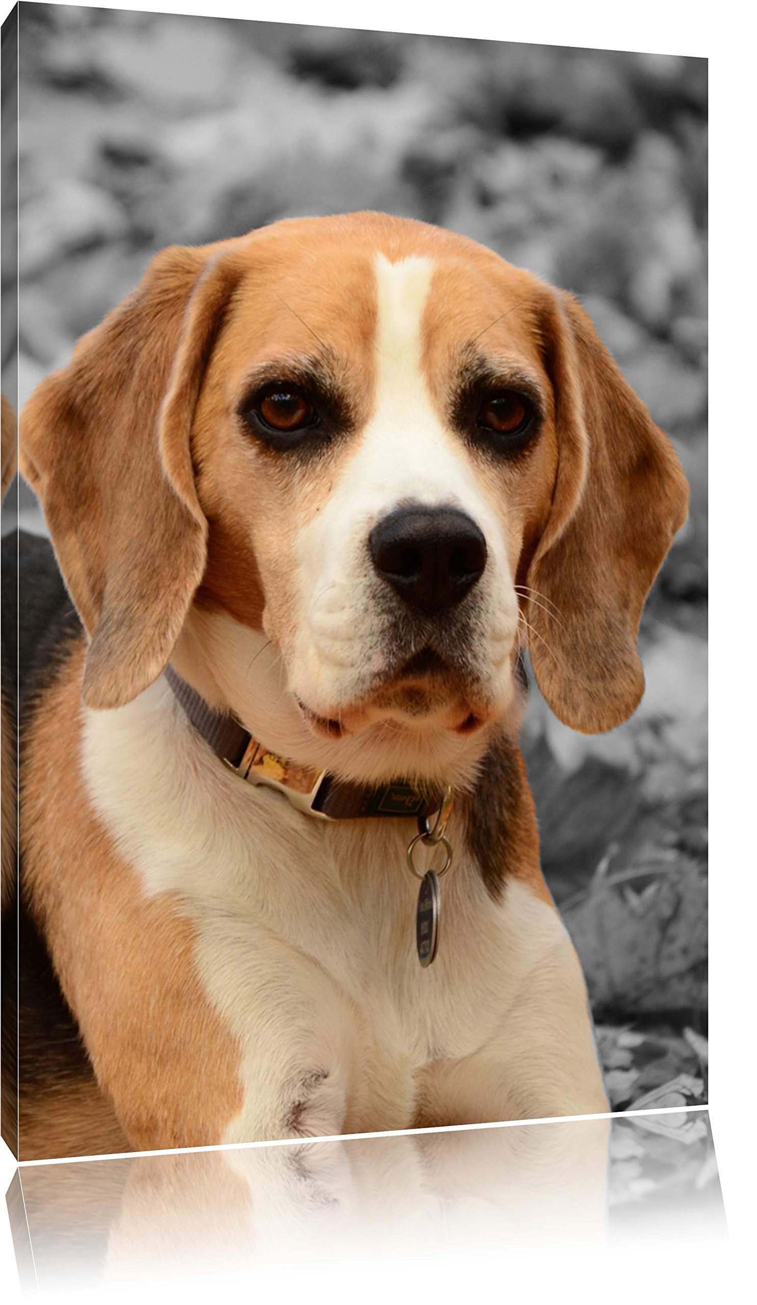 PixxprintColourful Canvas Wall Art