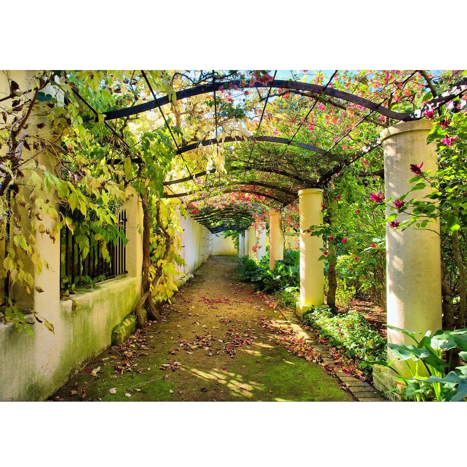 Runa Art Carta da parati fotografica 396 x 280 cm giardino Natura | Vello Decorazione Murale Soggiorno Camera Da Letto | Manifattura tedesca | verde 9003012a