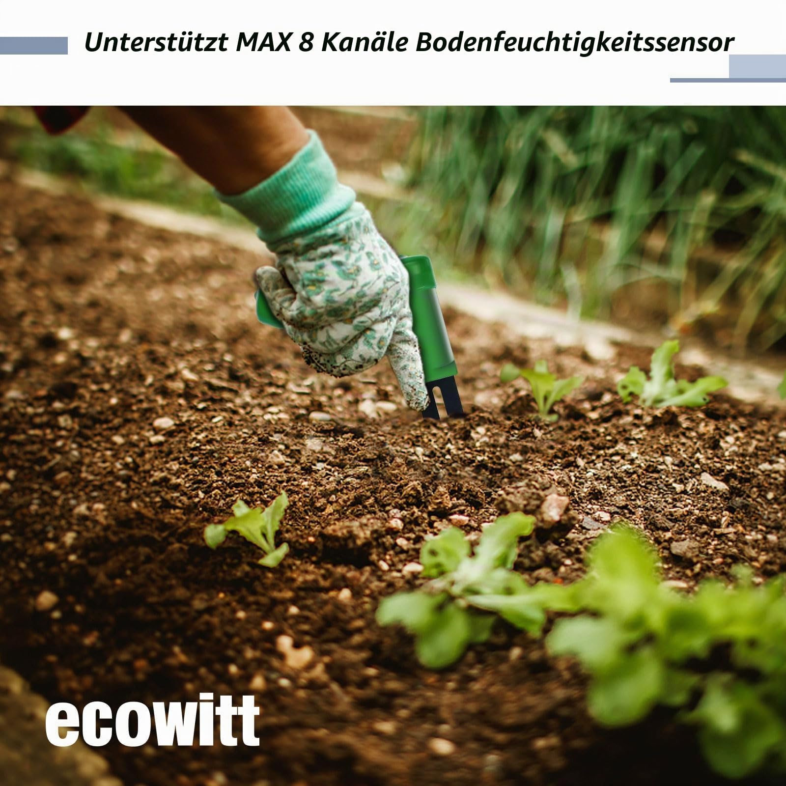 ECOWITT GW3005 Bodenfeuchtesensor Bodenfeuchte Tester WH51 + Wi-Fi/Kabel Gateway GW3000 Eingebauter 3 in 1 Indoor Barometer/Thermometer/Hygrometer Sensoren, Haus Garten Wetter Assistent