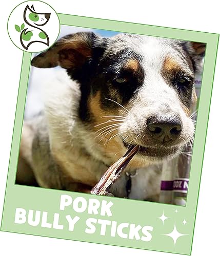 Miniatura 6 de Nature Gnaws Palitos de cerdo extra finos para perros pequeños de 5 a 6 pulgadas (50 unidades) Larga duración para masticadores ligeros y cachorros