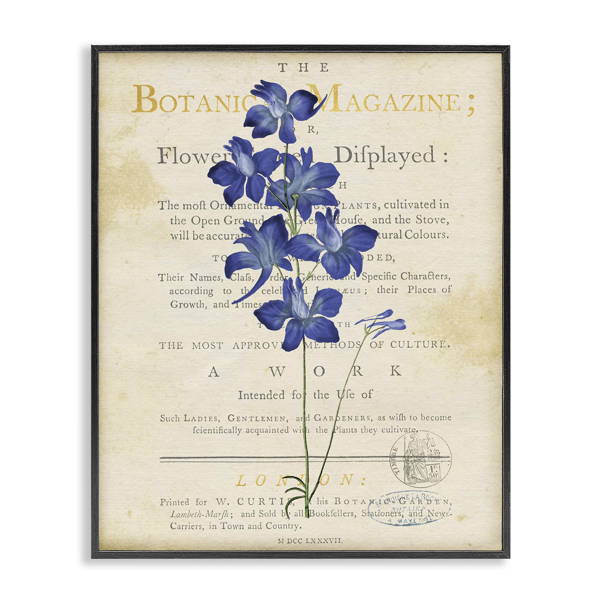Botanic Garden Floral Still Life, 24 x 30 Inch Framed Giclée Print