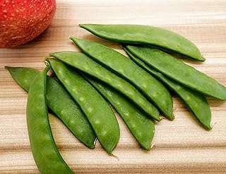 Hundredfold Oregon Giant Snow Pea 50 Vegetable Seeds - Pisum sativum Sweet & Crisp Pods